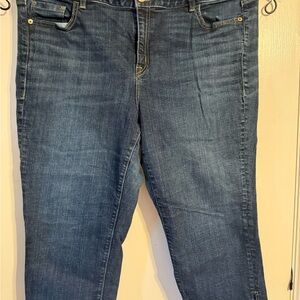 Lane Bryant Dark Blue Skinny Jeans